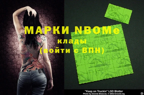 индика Алзамай