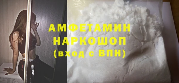 хмурый Алексин