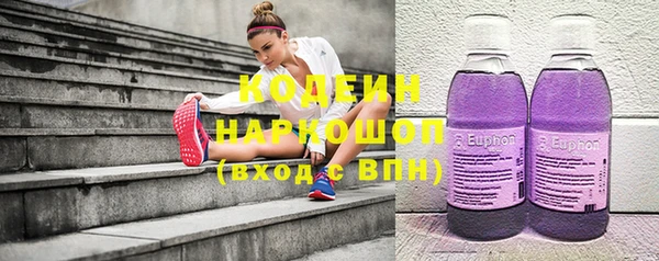 индика Алзамай