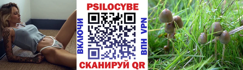 блэк спрут ONION  Мосальск  Псилоцибиновые грибы мухоморы 